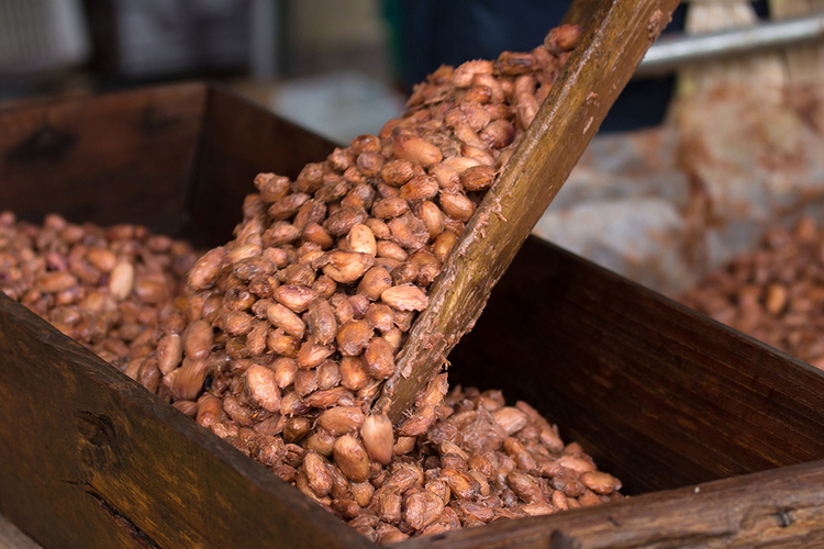 Cacao Fermentation เกิดอะไรขึ้นในระหว่างการหมักคาเคา?